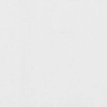 HISTORIC CHARLESTON King Charles Modern Farmhouse Floral Matelasse Coverlet, 100% Cotton Breathable Bedding, King/CalKing, White