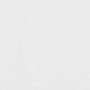 HISTORIC CHARLESTON King Charles Modern Farmhouse Floral Matelasse Coverlet, 100% Cotton Breathable Bedding, King/CalKing, White