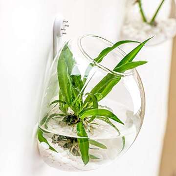 UMEIED Glass Wall Planters, 6 Pack, Indoor Use, Clear, 1050 cubic inches, Wall-Mountable, Round, Garden Style, Polished Finish, 1 Level, 12.4 x 14.6 x 6.3 inches, PLANTER