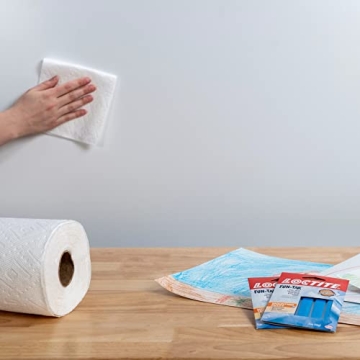 Loctite Fun-Tak 2 oz Removable Mounting Putty for All Uses