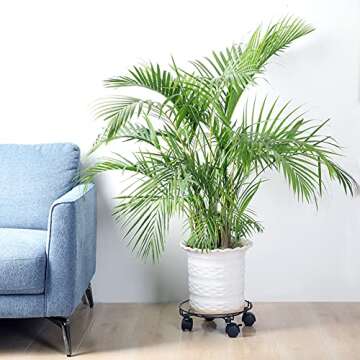 Metal Plant Caddy Heavy Duty Iron Potted Plant Stand with Wheels Brake Round Flower Pot Rack Mover on Rollers Dolly Holder Rolling Coaster Trolley Casters Indoor Outdoor Planter, Black(3Pack, 12inch)