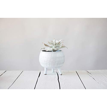 Creative Co-Op White Footed Terracotta Planter for Home