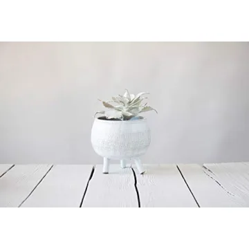 Creative Co-Op White Footed Terracotta Planter for Home