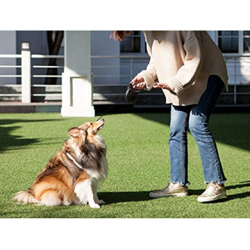 Fida Retractable Dog Leash for Small and Medium Dogs