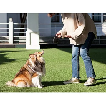 Fida Retractable Dog Leash for Small and Medium Dogs