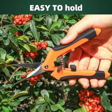 Buy EWPJDK 3-Pack Stainless Steel Pruning Shears Now