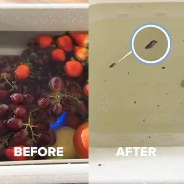 AquaPure - Fruit Washing Machine, Clean Produce Safely