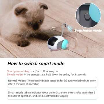 Remote Control Smart Cat Toy for Interactive Fun