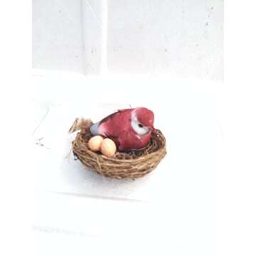 Terrarium/fairy Garden Kit / with Bird's Nest +3 Plants - Create Your Own Living Terrarium From Jmbamboo