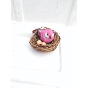 Terrarium/fairy Garden Kit / with Bird's Nest +3 Plants - Create Your Own Living Terrarium From Jmbamboo