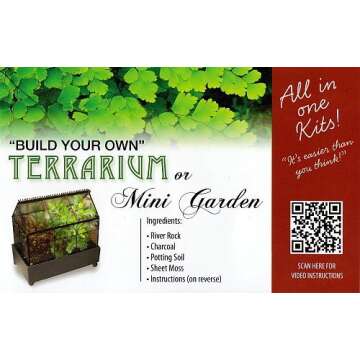Terrarium/fairy Garden Kit / with Bird's Nest +3 Plants - Create Your Own Living Terrarium From Jmbamboo