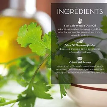 [Fruits & Passion] Cucina Coriander and Olive Tree Luxury Hand Cream, 5 Fl Oz - Premium Skin Care Made from First Cold Pressed Olive Oil - Regenerating Hand Lotion for Dry, Cracked Skin