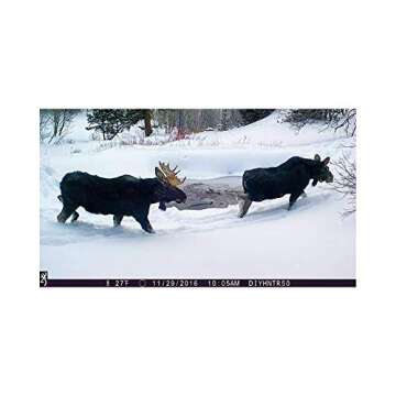 Browning Command Ops Pro Series 14MP Game Trail Security Camera - BTC-4P