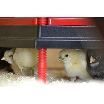 RentACoop Chick Brooder Heating Plate and Anti-Roost Cone Set- Brooder Heat Plate Warms Up to 30 Chicks - Chick Heater with 25 Adjustable Heights and 42 Watts - Safer Than to Heat Lamps - 16" x 16"