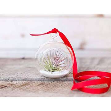 Premium Double Faced Red Satin Ribbon - 50 Yards