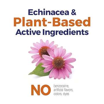 Boiron ThroatCalm Spray for Sore Throat Relief - Plant-Powered with Echinacea – Natural, Mint-Like Herbal Flavor - Non-Numbing & Benzocaine-Free - .68 Fl Oz