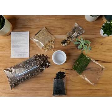 TerraGreen Creations Succulent Planter Kit - Terrarium Kit with Succulent Soil, Gravel, Pebble, Moss,