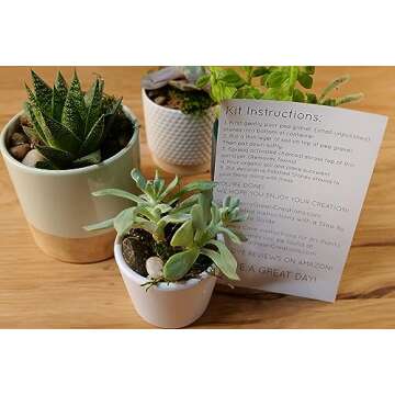 TerraGreen Creations Succulent Planter Kit - Terrarium Kit with Succulent Soil, Gravel, Pebble, Moss,