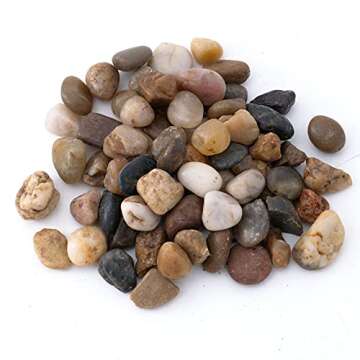 TerraGreen Creations Succulent Planter Kit - Terrarium Kit with Succulent Soil, Gravel, Pebble, Moss,