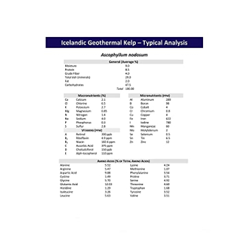 Thorvin Icelandic Kelp - Organic Animal Supplement