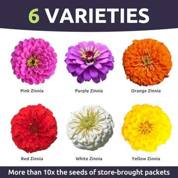 Zinnia Cut & Come Again Mix - Large 1 Ounce Packet - 4,000 Flower Seeds for Planting - Zinnia elegans