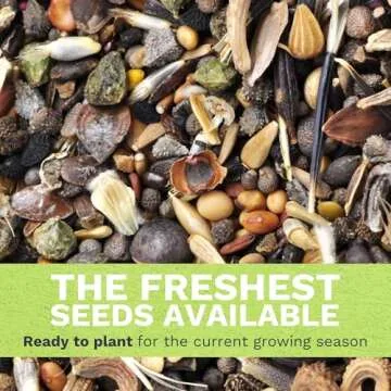 Zinnia Cut & Come Again Mix - Large 1 Ounce Packet - 4,000 Flower Seeds for Planting - Zinnia elegans