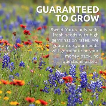 Zinnia Cut & Come Again Mix - Large 1 Ounce Packet - 4,000 Flower Seeds for Planting - Zinnia elegans