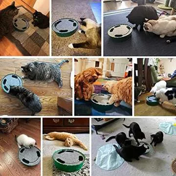 Pawaboo Interactive Cat Toy with Running Mouse, Electronic Motion Cat Toy Automatic Teaser for Indoo...