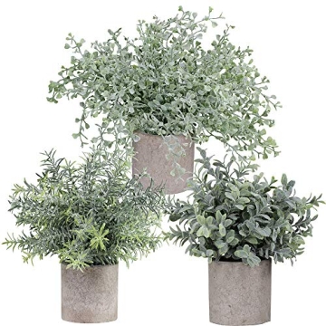 Mini Potted Plants Set - Faux Eucalyptus Boxwood Rosemary