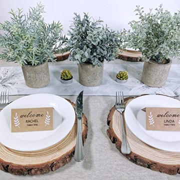Mini Potted Plants Set - Faux Eucalyptus Boxwood Rosemary
