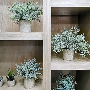 Mini Potted Plants Set - Faux Eucalyptus Boxwood Rosemary