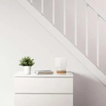 Ikea Artificial Potted Plant, Jade, 9.5 Inch