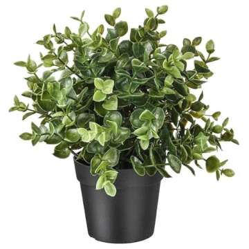 Ikea Artificial Potted Plant, Jade, 9.5 Inch