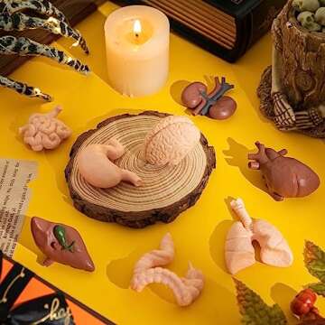 Mini Human Body Model for Kids, 8PCS Body Parts Sets Anatomy Toys, 3D Anatomy and Physiology Study Tools for Students Class Learning