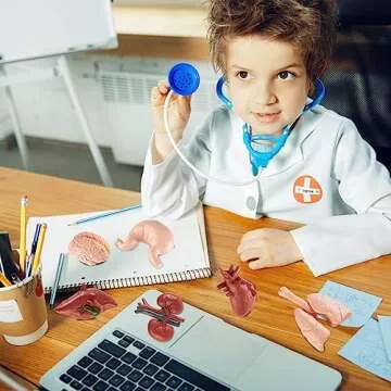 Mini Human Body Model for Kids, 8PCS Body Parts Sets Anatomy Toys, 3D Anatomy and Physiology Study Tools for Students Class Learning