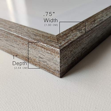 Framed Botanical Prints in Distressed Silver Frame - 16x20