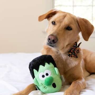 Huxley & Kent Pet Pinwheel | Candy Corn (Small) | Halloween Collar Accessory for Dogs/Cats | Bow Collar Attachment | Cute, Comfortable Accessory | H&K Pinwheel for Pets