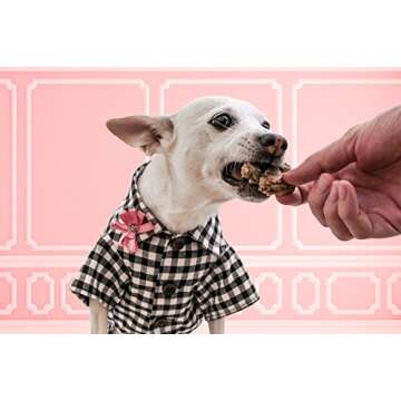 Mini Paw and Bone Silicone Dog Treat Molds