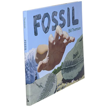 Fossil - A Wordless Picture Book of Adventure
