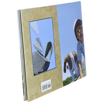 Fossil - A Wordless Picture Book of Adventure