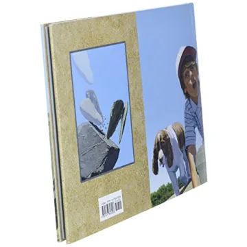 Fossil - A Wordless Picture Book of Adventure