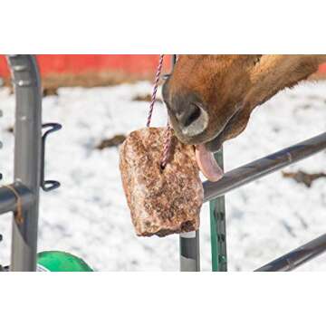Redmond Natural Salt Rock for Horses 3 to 5 lbs (3 Pack)