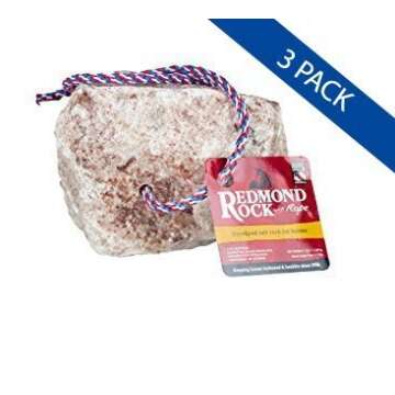 Redmond Natural Salt Rock for Horses 3 to 5 lbs (3 Pack)