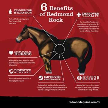 Redmond Natural Salt Rock for Horses 3 to 5 lbs (3 Pack)