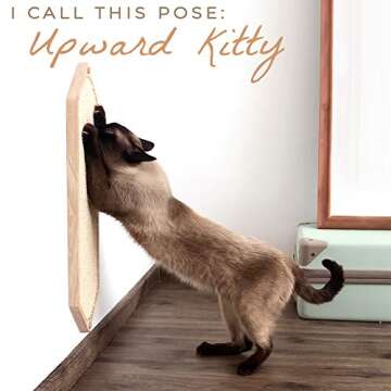 Wall Mounted Cat Scratcher for Indoor Cats and Kittens