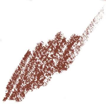 Palladio Retractable Waterproof Lip Liner High Pigmented and Creamy Color Slim Twist Up Smudge Proof...