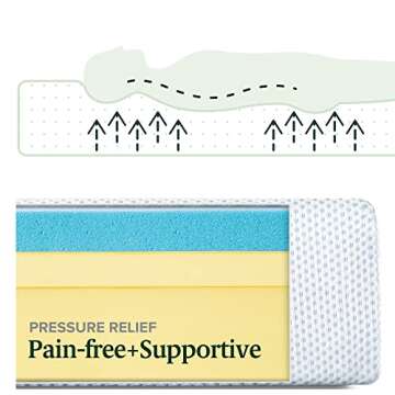 ZINUS 8 Inch Green Tea Cooling Gel Memory Foam Mattress, Short Queen, Fiberglass Free, Cooling Gel Foam, Pressure Relieving, CertiPUR-US Certified, Mattress in A Box, White