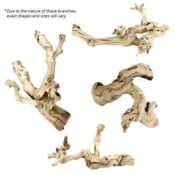 Koyal Natural Grapewood Vine Branch, 6-Inch