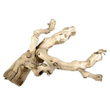 Koyal Natural Grapewood Vine Branch, 6-Inch