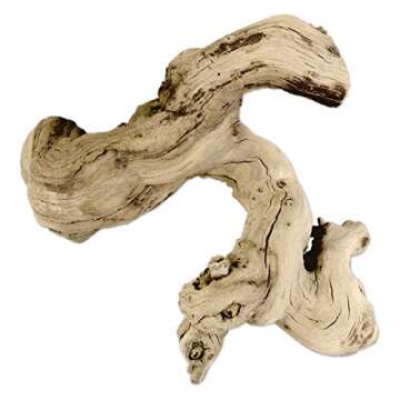 Koyal Natural Grapewood Vine Branch, 6-Inch